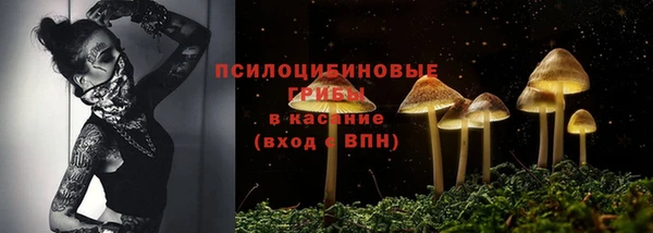 mdpv Киреевск