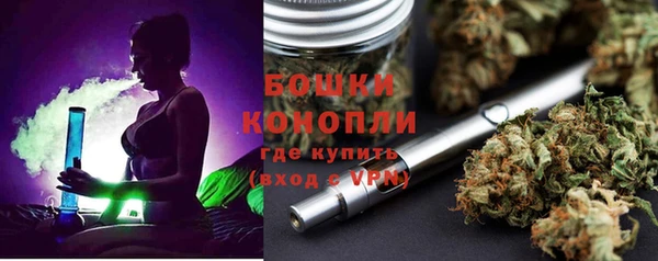 гашик Козельск