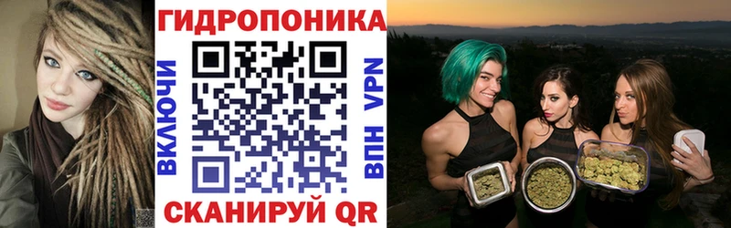 Шишки марихуана OG Kush kraken вход Княгинино